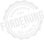 foerderung e bikes